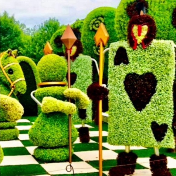 🤍 - Picture 2 of 2